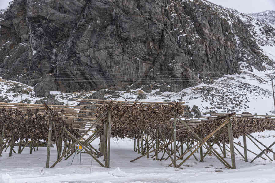 Noruega - islas Lofoten 217 - secadero de pescado.jpg